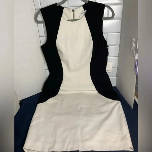 Calvin Klein Bodycon Black and White Sheeth Dress Sleeveless Sz 8 - Picture 1 of 8